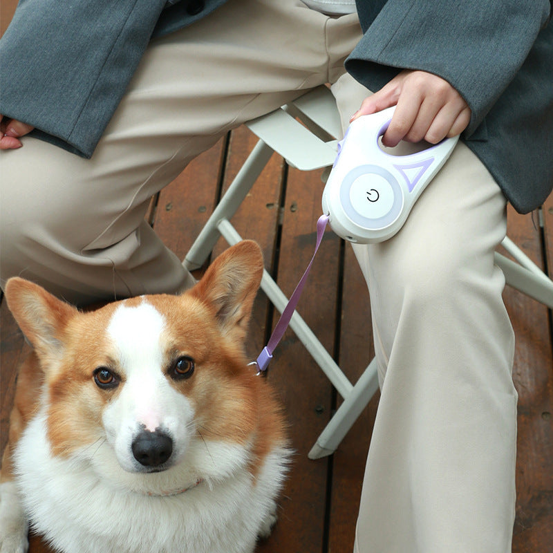 Dog Leash Retractable Leash And Dog Collar Spotlight Automatic Traction Rope